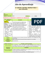 Ses 2-Mart-Cyt-Conocemos Nuestro Sistema Respiratorio y Sus Cuidados