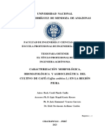 Caracterización Morfologica y Agroclimatologíca Del Café