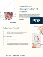 Electrophysiology of Heart