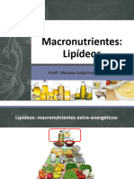 Macronutrientes Lipídeos