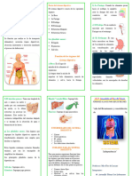 Tripticosistemadigestivo 240526062437 d73f4c13
