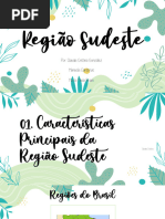 Região Sudeste PDF