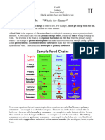 Trophic Levels