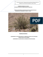 Informe Tecnico Reforestacion Con Queñuas