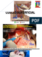 CUELLO SUPERFICIAL. Clase PDF