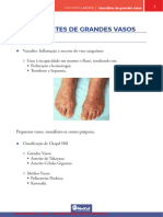 05 - Resumo - CM (Sem 8) - Vasculites de Grandes Vasos