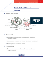 02 - Resumo - Otologia PT 2