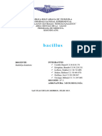 Bacillus Ii. Microbiología