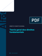 Teoria Geral Dos Direitos Fundamentais: Direito Constitucional