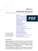 Gestion de Proyectos