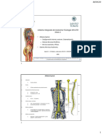 PDF Clase NÂ° 2 Medula Espinal SNP SNA IAF UST 2020.