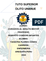 Informe Cuidados Al Adulto Mayor