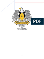 Posición de Sudan Del Sur NICO