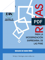 08 UEAN Rutas para La Modernización Empresarial de Las PyME - Modelo MMGO - Matrices