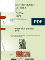 Fresh Fruit Bunch Reception & Quality Dipom 2024