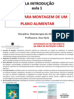 1 Aula Passos Planoalimentar