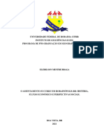 O Assentamento Sucuriju em Rorainópolis-RR História, Fluxos Econômico e Perspectivas Sociais... Braga