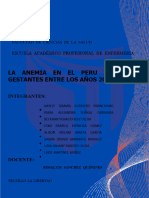 Informe de La Anemia 1 Solucion Sesion5