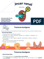 Cáncer Renal y Vesical