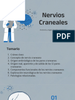 5 NerviosCraneos