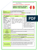 Ses Mart Cyt Sistema Excretor y Sus Cuidados Jezabel Camargo Único Contacto 978387435