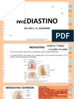 5.6 Anatomia Torax Mediastino