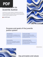 Introduction To Juvenile Justice