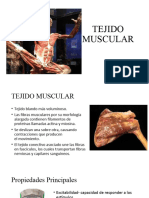 Tejido Muscular