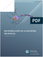 Neurobiología de La Neurona.