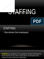 3.3 Staffing