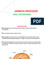 Basal Ganglia (Nucleus) - 061418