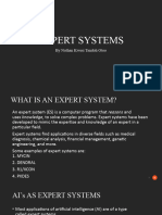 Expert Systems