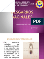 Desgarros Vaginales