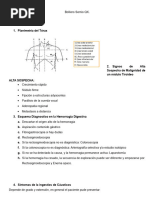 Bolliero Semio QX Listo PDF