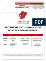 Informe de SST - cds2127