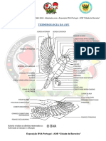 TERMINOLOGIA DA AVE - Final