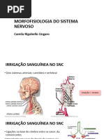 Morfofisiologia Do Sistema Nervoso: Camila Rigobello Ungaro