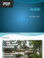 Flood 2022 PPT Tripti