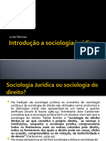 Introducao A Sociologia Juridica