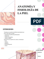 Anatomía y Fisiología de La Piel