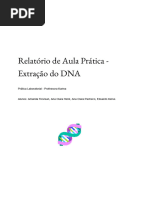 Relatório de Aula Prática - Extração Do DNA