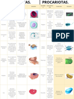 Cuadro Comparativo 3