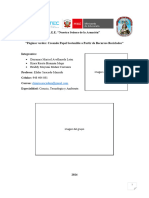 Informe Final 1