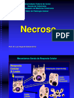 Necrose 2014