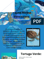 Fauna Marina Venezolana (Mariangel) - 20240610 - 082012 - 0000