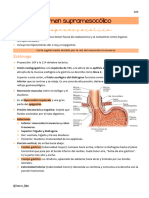 Resumen Anatomía - Abdomen Supramesocólico