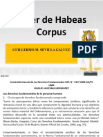 Diapositivas de Demandas Habeas Corpus 2019