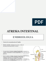 Atresia Intestinal