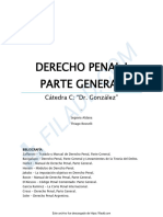 Resumen Derecho Penal Parte General