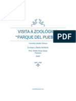 Visita A ZOOLÓGICO